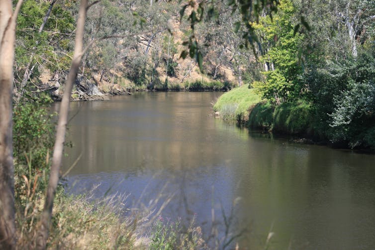 lost and found in the Tasmanian bush