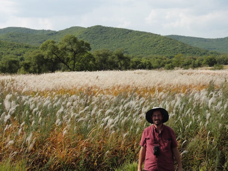 Newly discovered cold-tolerant plants from Siberia could promote clean bioenergy