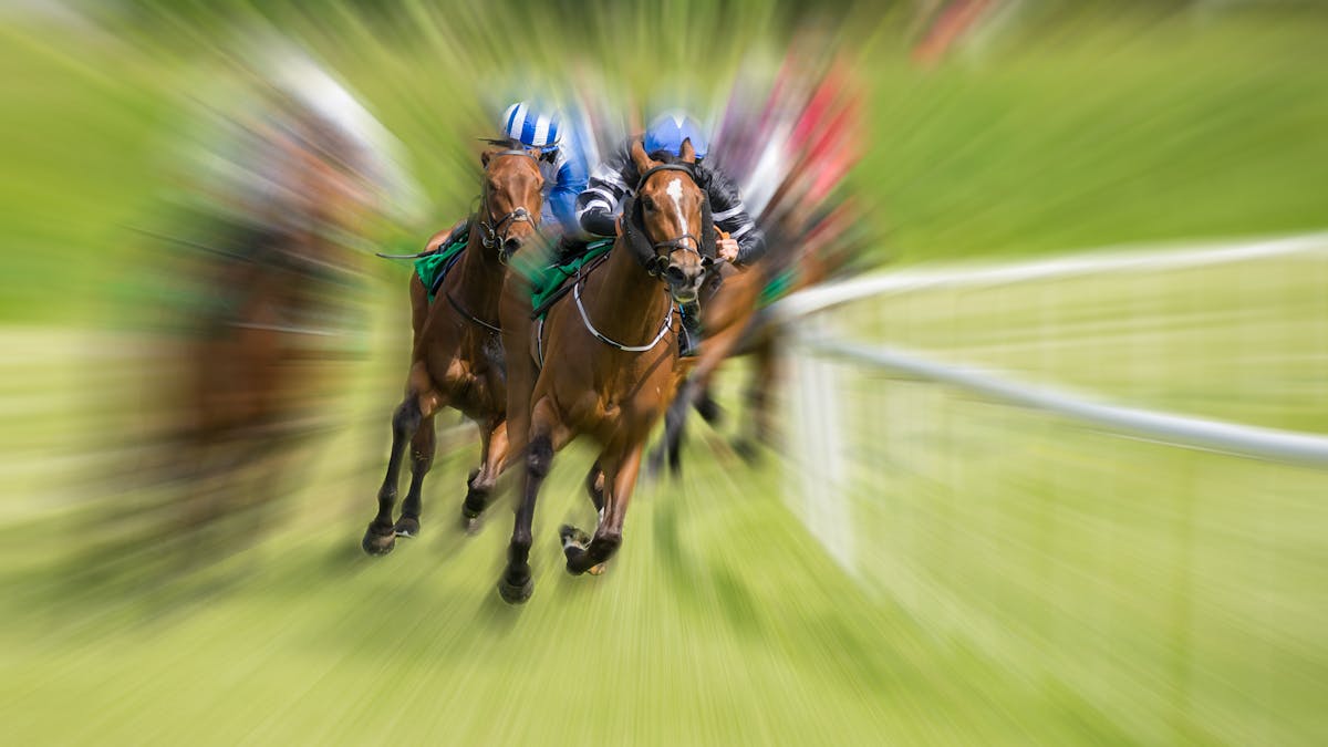 The Shocking Use Of Jiggers In Horse Racing The Shocking Use Of Jiggers In Horse Racing