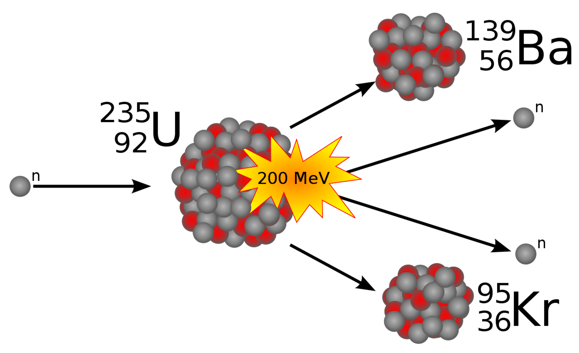 Lise Meitner – The Forgotten Woman Of Nuclear Physics Who Deserved A ...