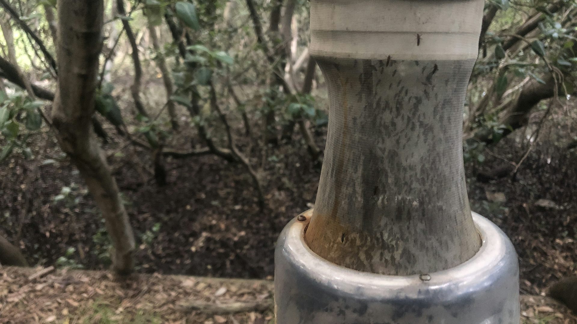 After the floods come the mosquitoes &ndash; but the disease risk is more difficult to predict