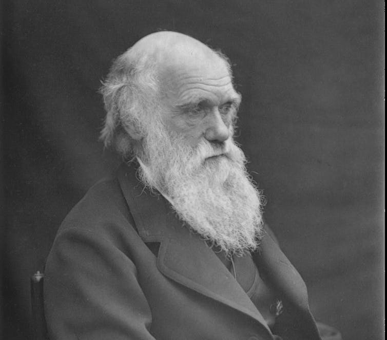 Retrato de Charles Darwin tomado alrededor de 1874 por su hijo Leonard Darwin. Wikimedia Commons / Leonard Darwin, CC BY-SA