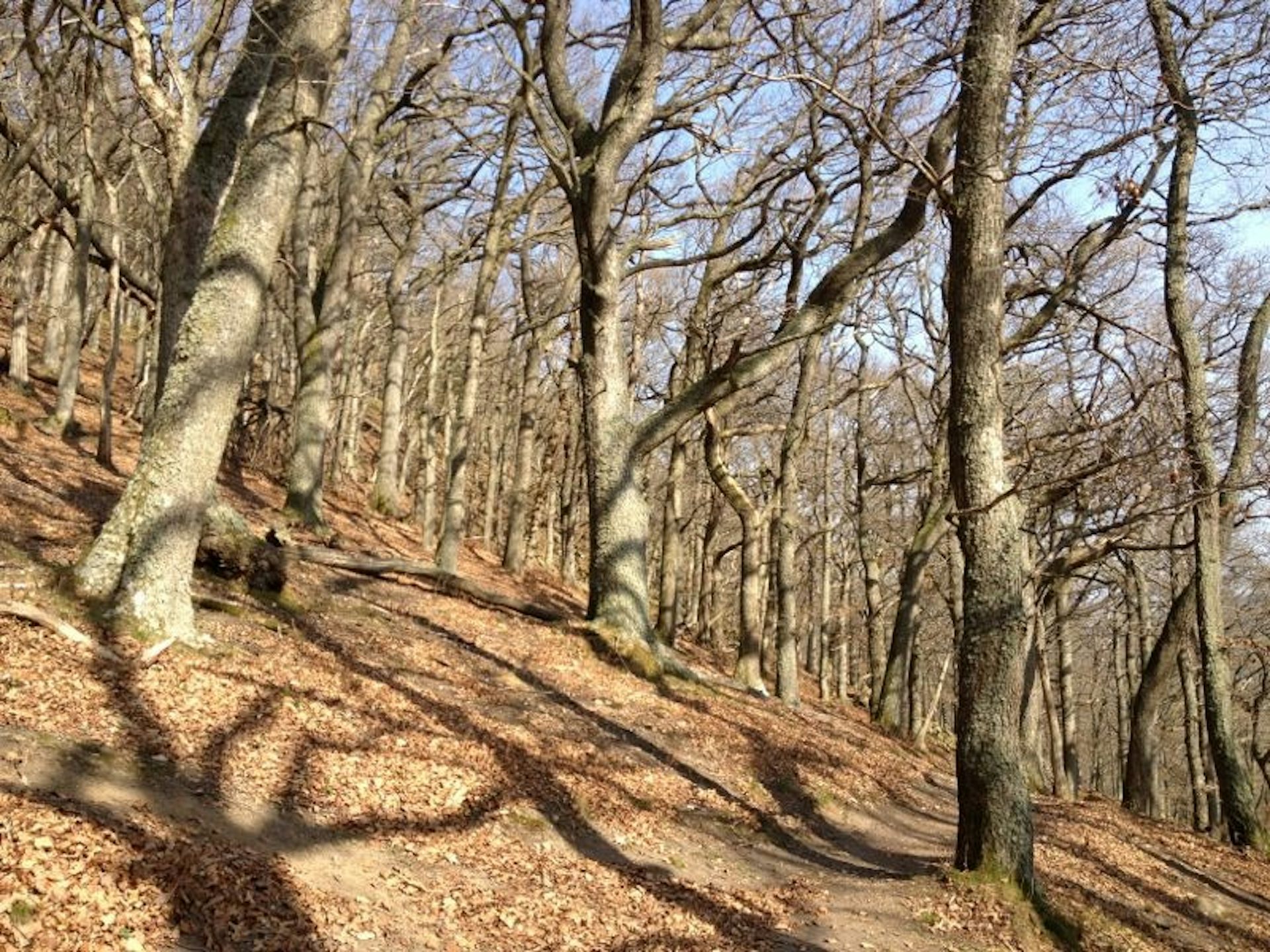 file 20190210 174894 188ccs4.JPG?ixlib=rb 1.1 - Club of Amsterdam