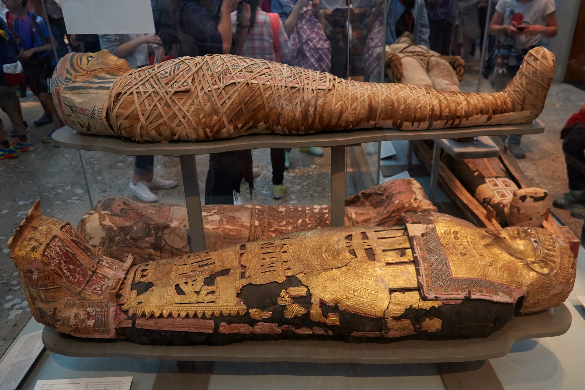 why were some mummies lined with gold