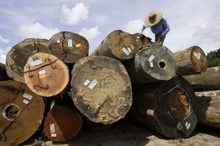 File 20190211 174870 1tc33yo.jpg?ixlib=rb 1.1