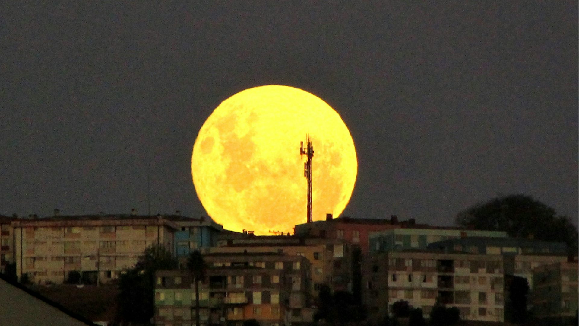 Почему луна низко. Желтая Луна. Гигантская Луна. Очень большая Луна. Луна желтая большая.