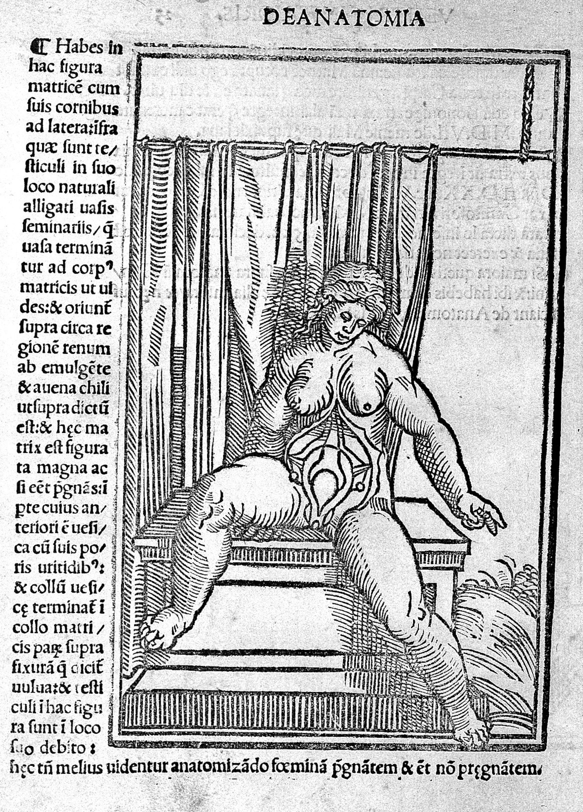Lascivious virgins and lustful itches womens masturbation in early England picture