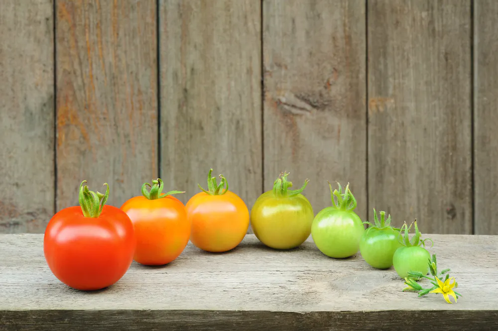 Curious Kids: what happens when fruit gets ripe?