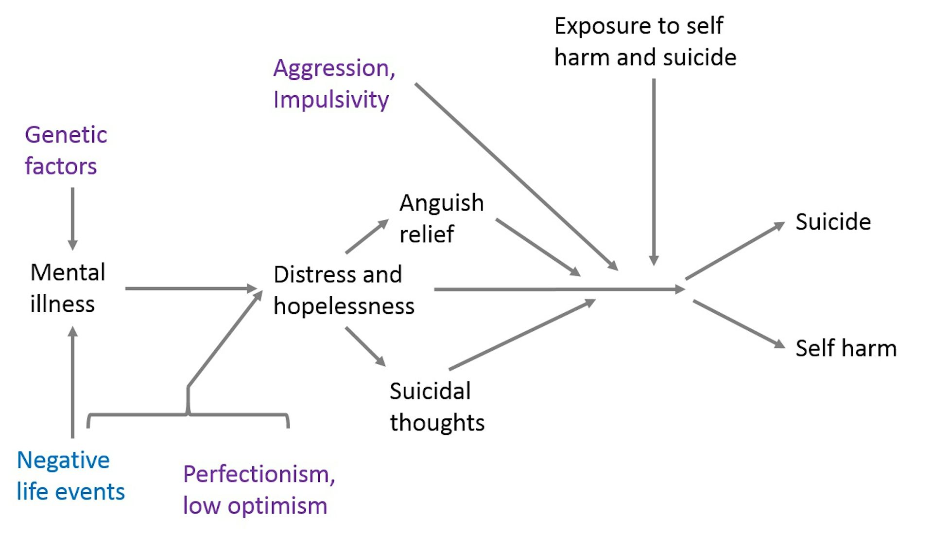 What Our New Study Reveals About The Genetics And Biology Of Suicidal ...