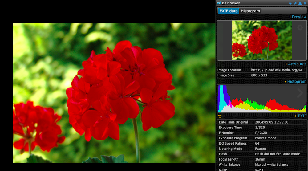 Don T Be Fooled By Fake Images And Videos Online