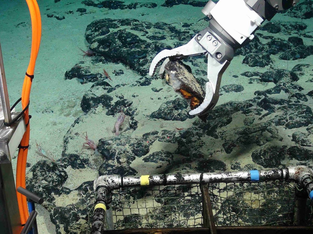 Deep Sea Mining Threatens Indigenous Culture In Papua New Guinea