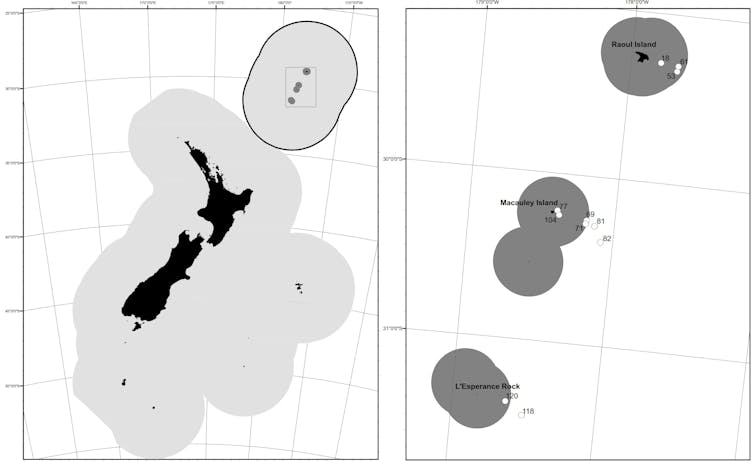 Squid team finds high species diversity off Kermadec Islands, part of stalled marine reserve proposal