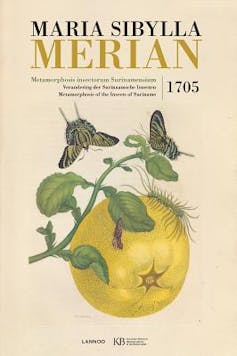 Maria Sibylla Merian, 17th-century entomologist and scientific adventurer