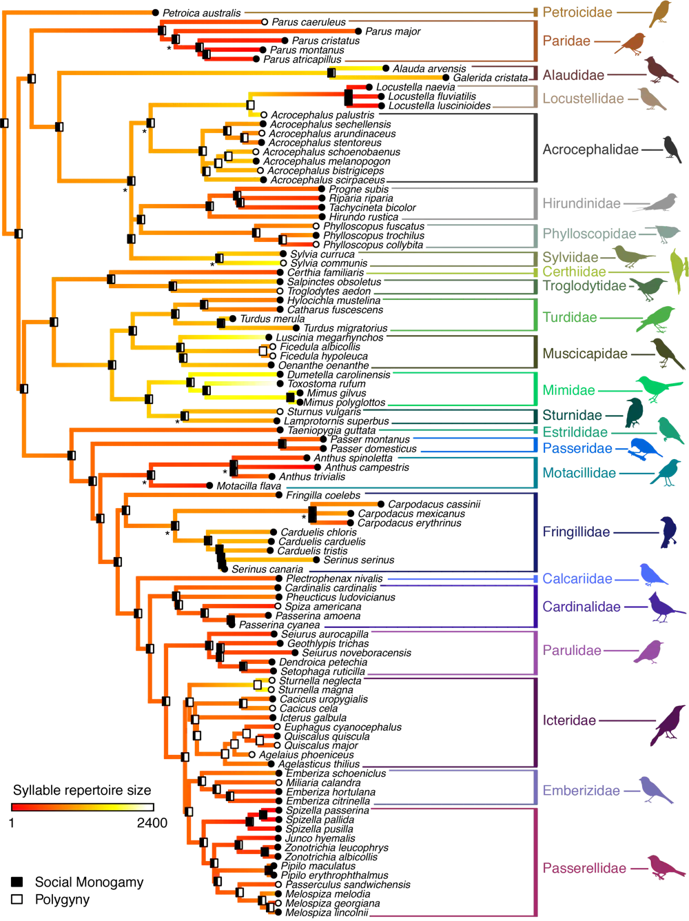 Sexual selection in action Birds that attract multiple mates change