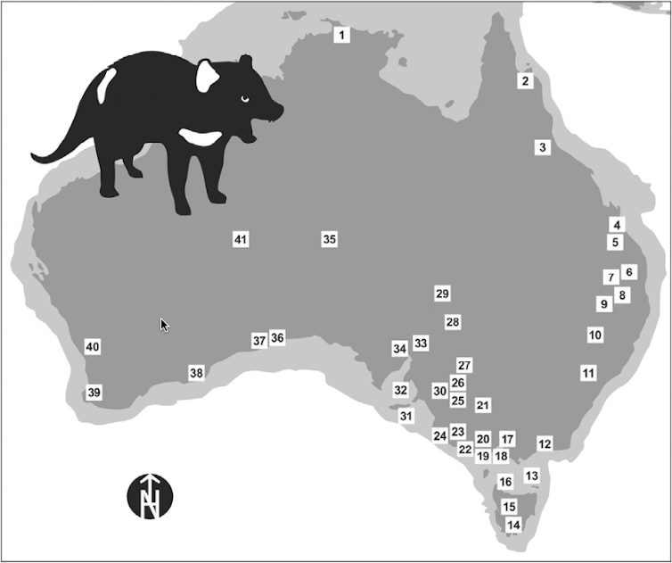 Could Tassie devils help control feral cats on the mainland? Fossils say yes