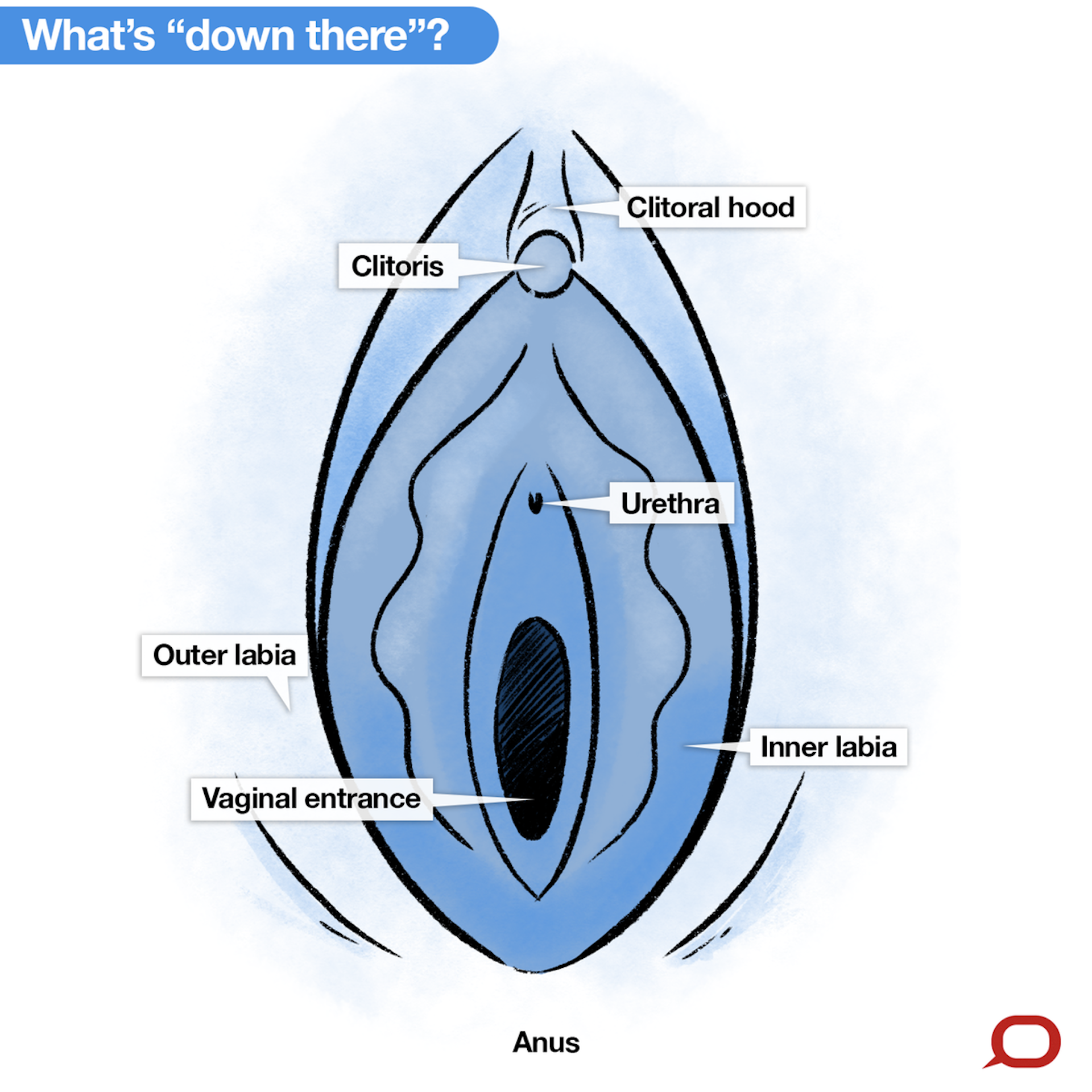 Pictures Of How To Masturbate