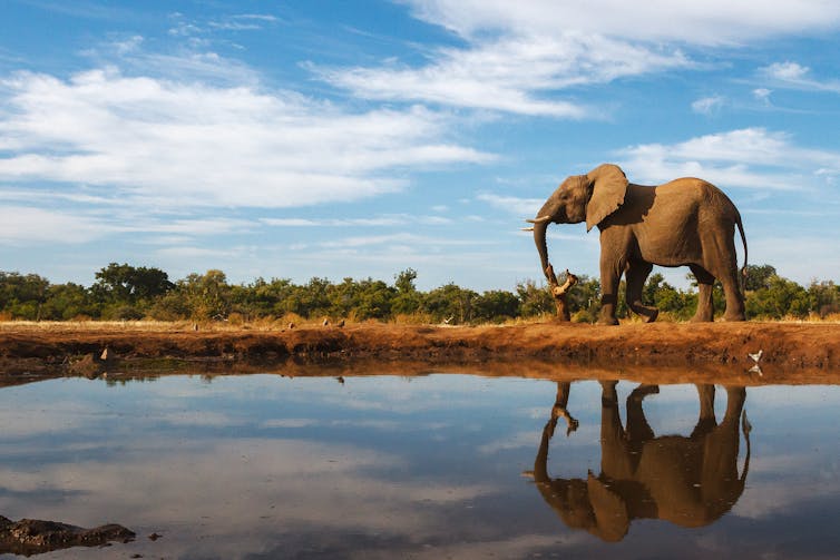 File 20190225 26156 19rah0j.jpg?ixlib=rb 1.1