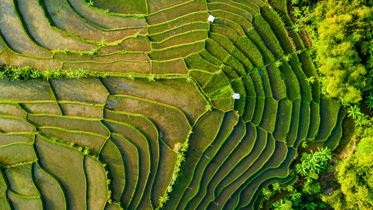 Pentingnya Membenahi Sistem Informasi Dan Administrasi Tanah