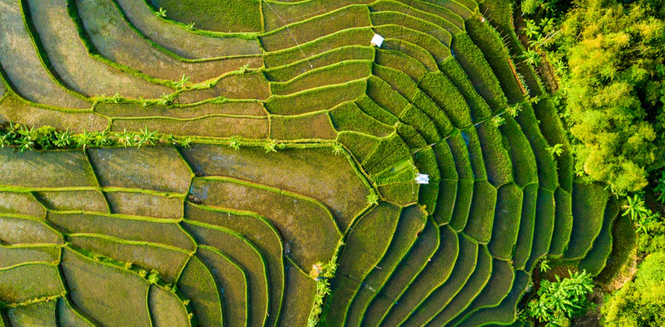 Pentingnya membenahi sistem informasi dan administrasi tanah di tingkat desa dalam reformasi agraria