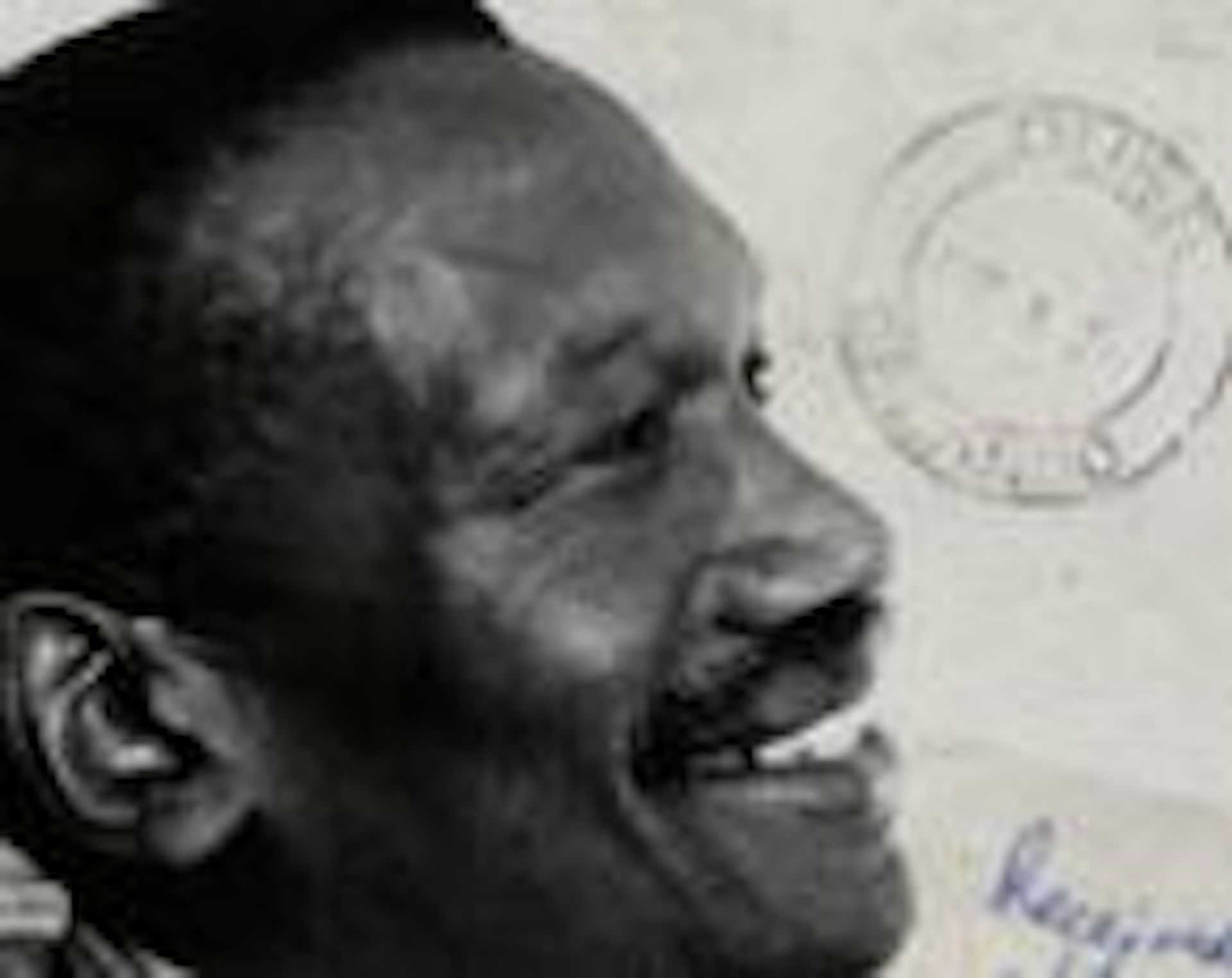 File 20190227 150721 1mf7a8r.jpg?ixlib=rb 1.1