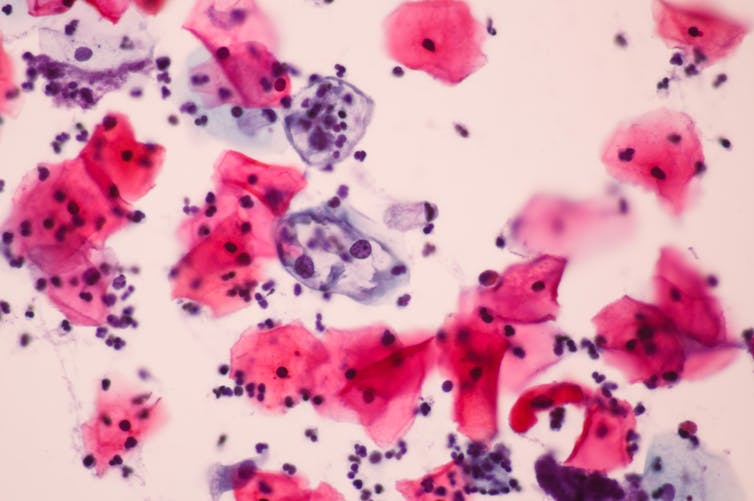 File 20190228 106356 1jjqsl6.jpg?ixlib=rb 1.1