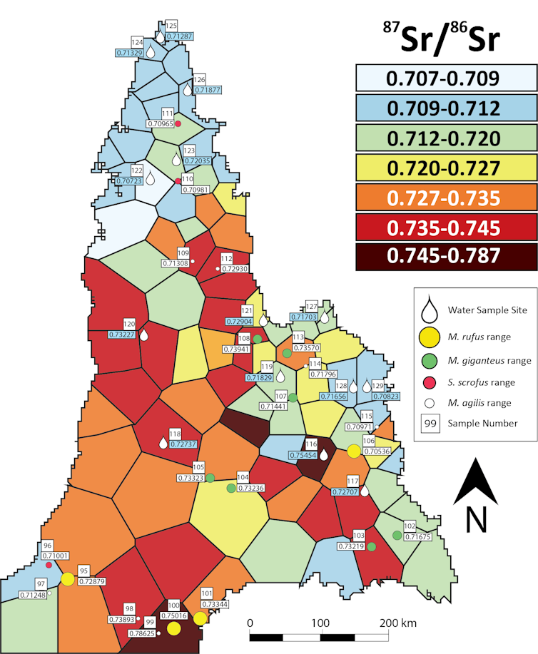 Where did you grow up? How strontium in your teeth can help answer that question