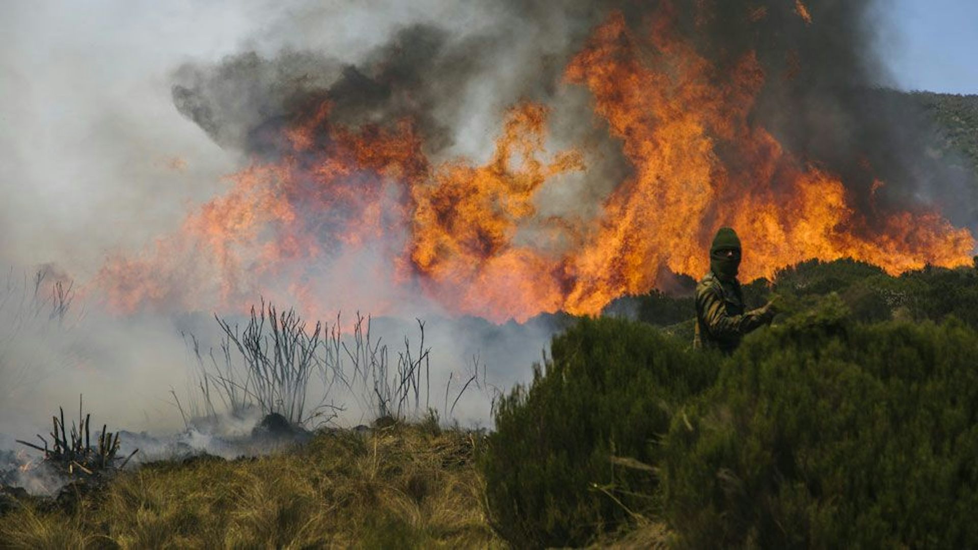Why Mount Kenya Is Burning and What Can Be Done to Stop the Fires