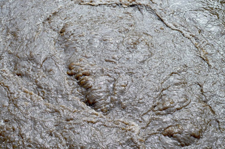 Can we turn sewage 'sludge' into something valuable?