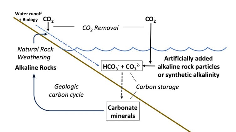 Can we tweak marine chemistry to help stave off climate change?