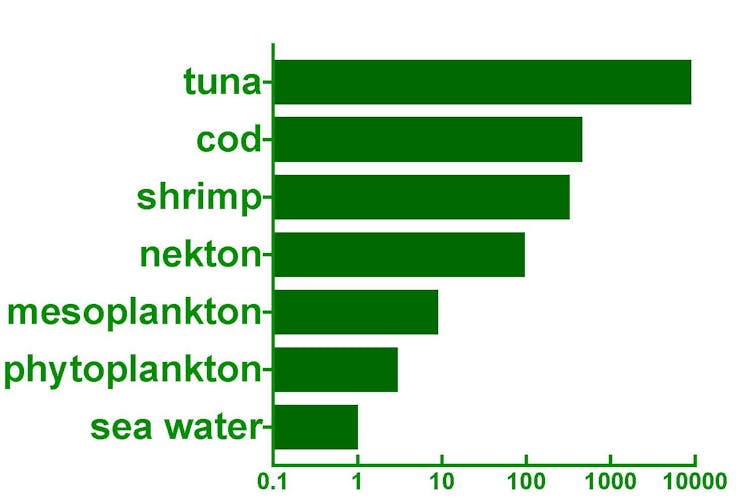 methylmercury concentration in food