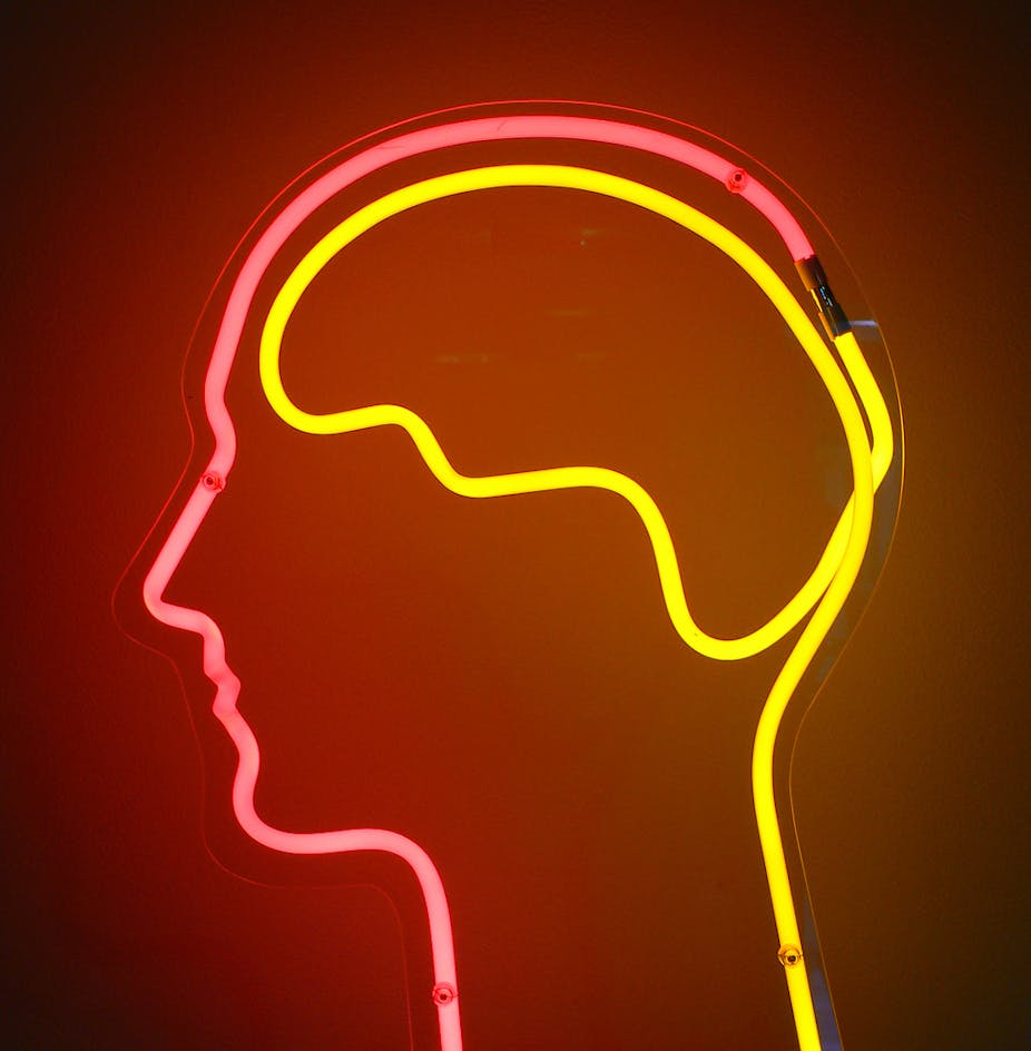 The Self Starving Brain >> How Hunger Makes Your Brain Eat Itself The Self Starving Brain >> How Hunger Makes Your Brain Eat Itself