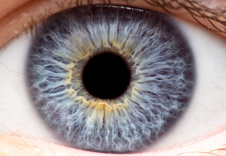 File 20190308 155502 14526k.jpg?ixlib=rb 1.1