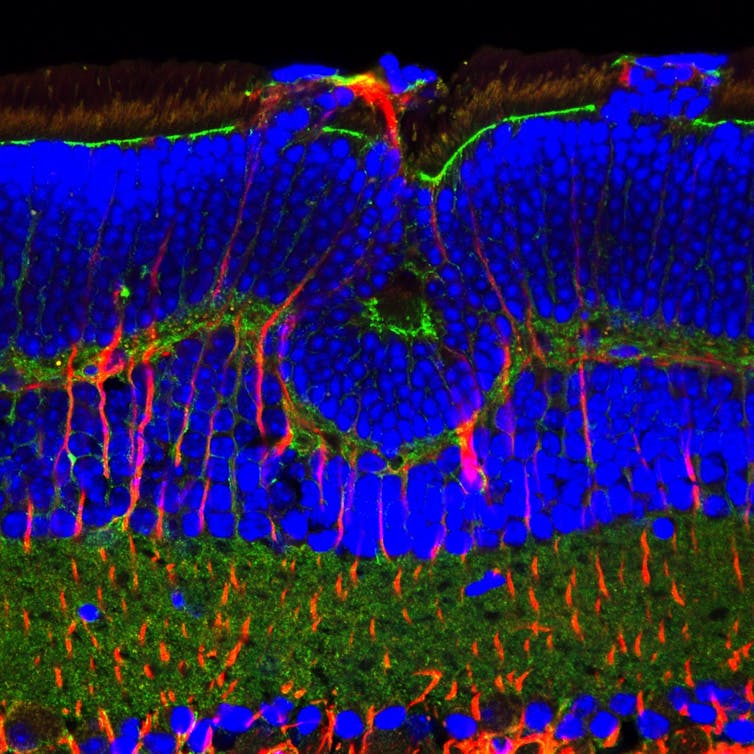 Six images reveal how we ‘see' data and capture invisible science