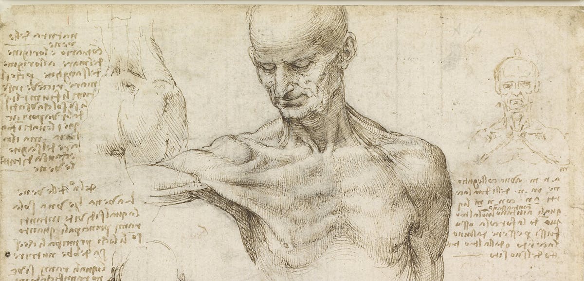 Leonardo Da Vinci Revisited How A 15th Century Artist Dissected The Human Machine