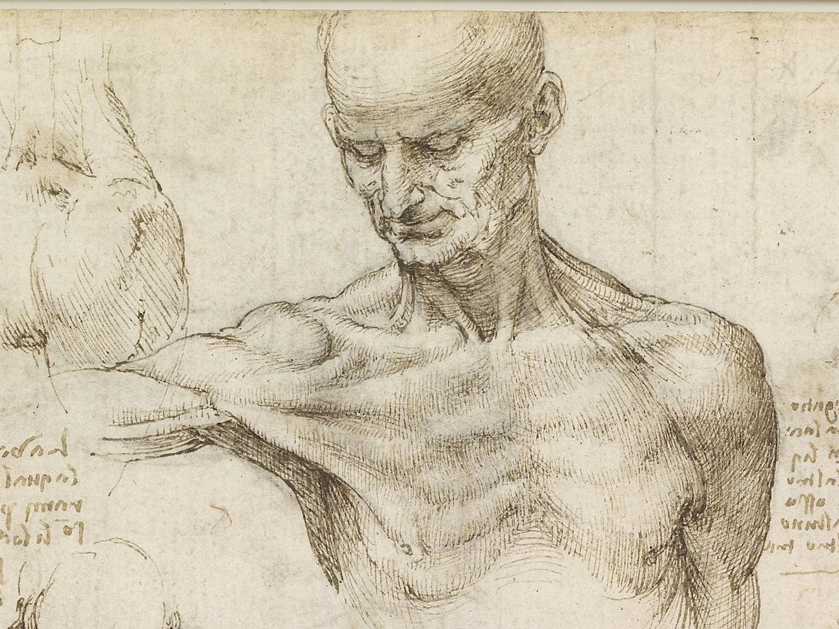 Leonardo da vinci was both an artist and a an Leonardo Da Vinci Revisited How A 15th Century Artist Dissected The Human Machine