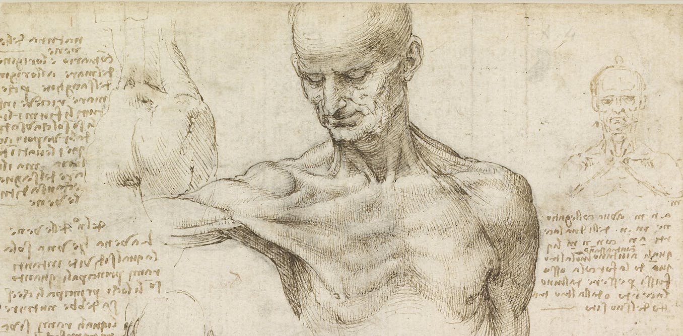 Leonardo da Vinci revisited: how a 15th century artist dissected the human machine leonardo-da-vinci-revisited-how-a-15th-century-artist-dissected-the-human-machine