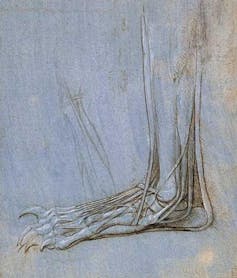 Leonardo da Vinci revisited: how a 15th century artist dissected the human machine