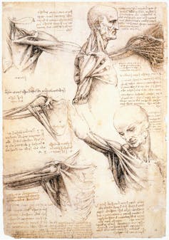 Leonardo da Vinci revisited: how a 15th century artist dissected the human machine