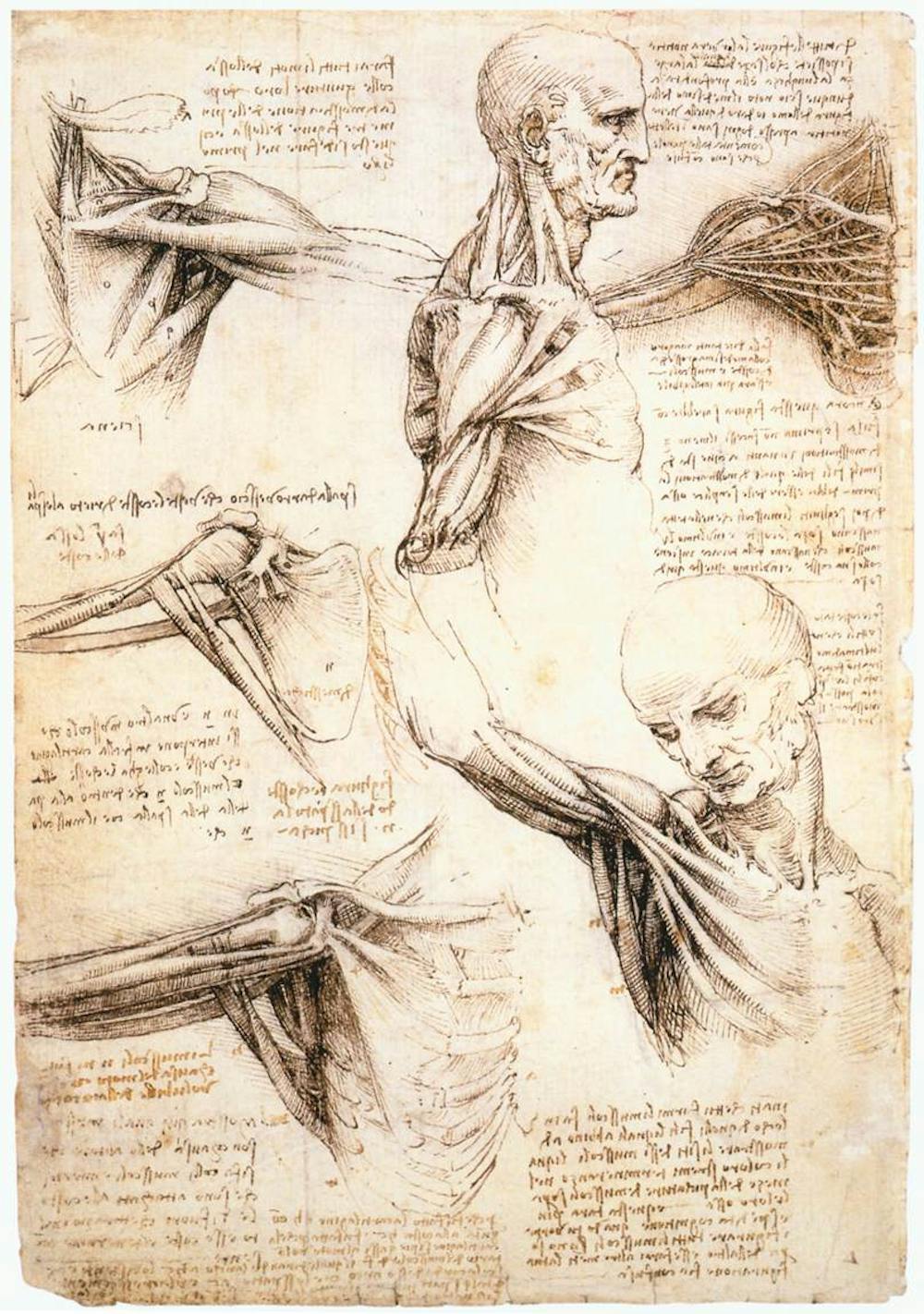 Leonardo da Vinci revisited: how a 15th century artist dissected the human machine leonardo-da-vinci-revisited-how-a-15th-century-artist-dissected-the-human-machine