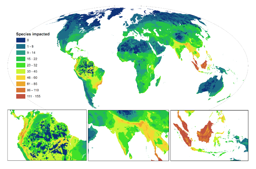 Guns Snares And Bulldozers New Map Reveals Hotspots For Harm To Wildlife