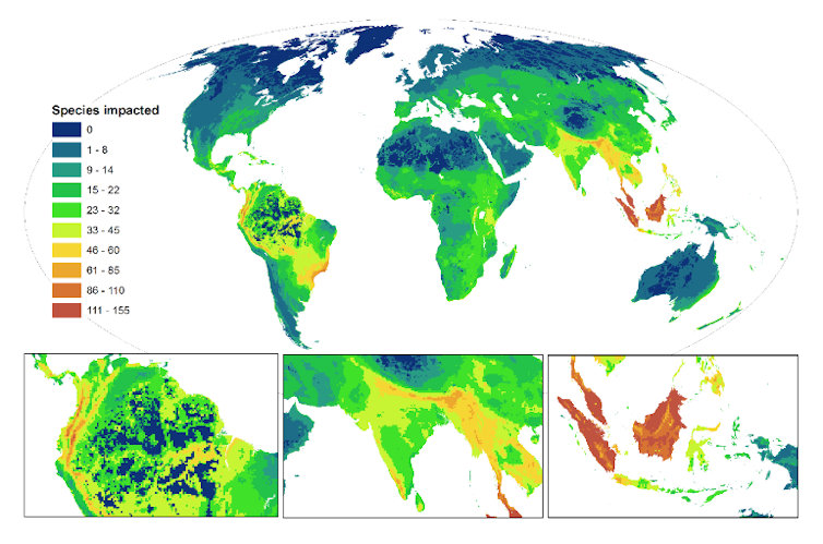 Guns, snares and bulldozers: new map reveals hotspots for harm to wildlife