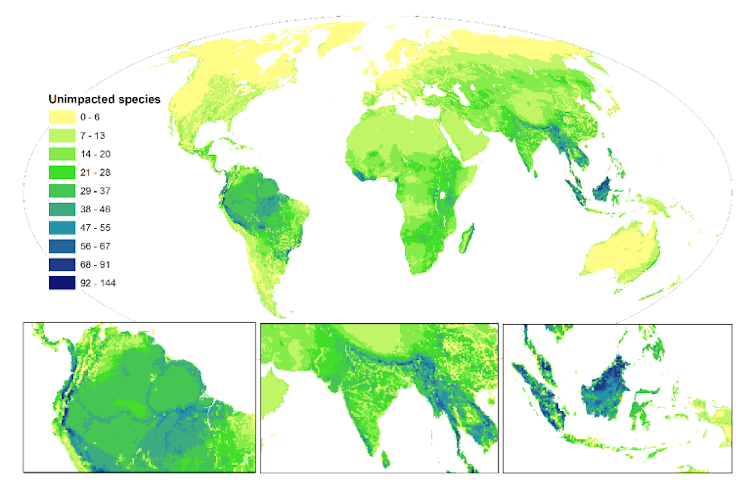 new map reveals hotspots for harm to wildlife