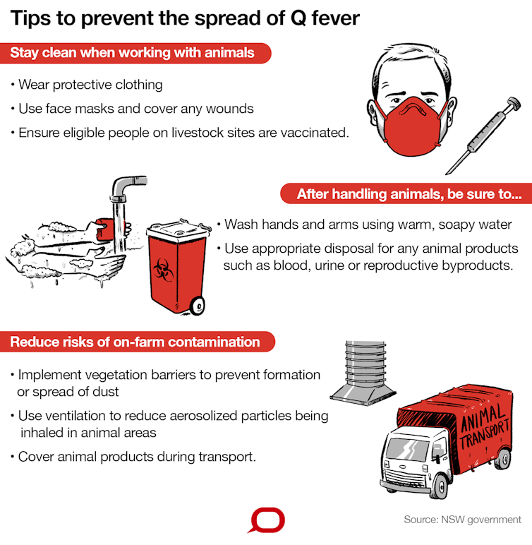 Australia’s drought could be increasing Q fever risk, but there are ways we can protect ourselves