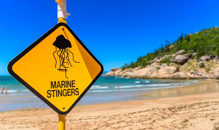 Going to the beach this Easter? Here are four ways we're not being properly protected from jellyfish