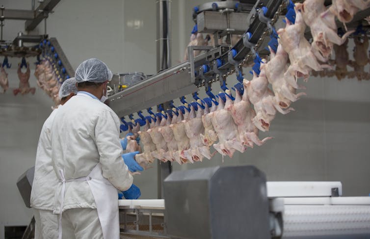 There’s a lot more than just chickens at stake in a US-UK trade deal.