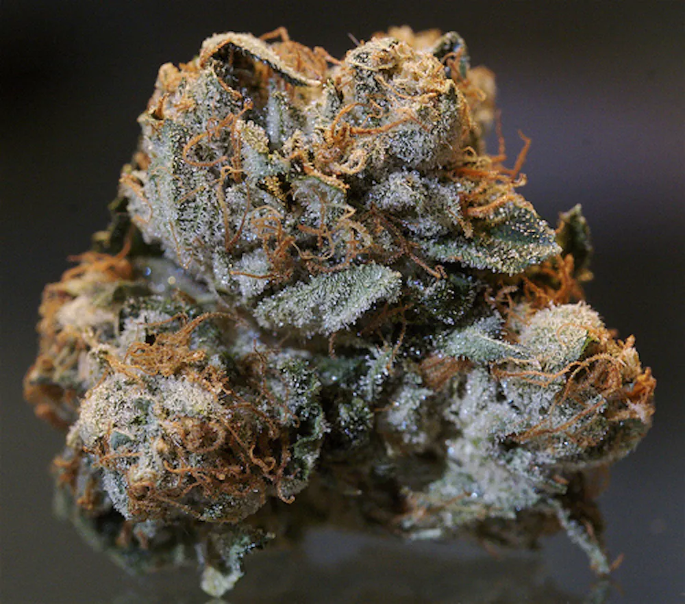 marijuana glutathione Effect of Cannabis sativa on (A) (GSH) level, (B) Marijuana is a lot more