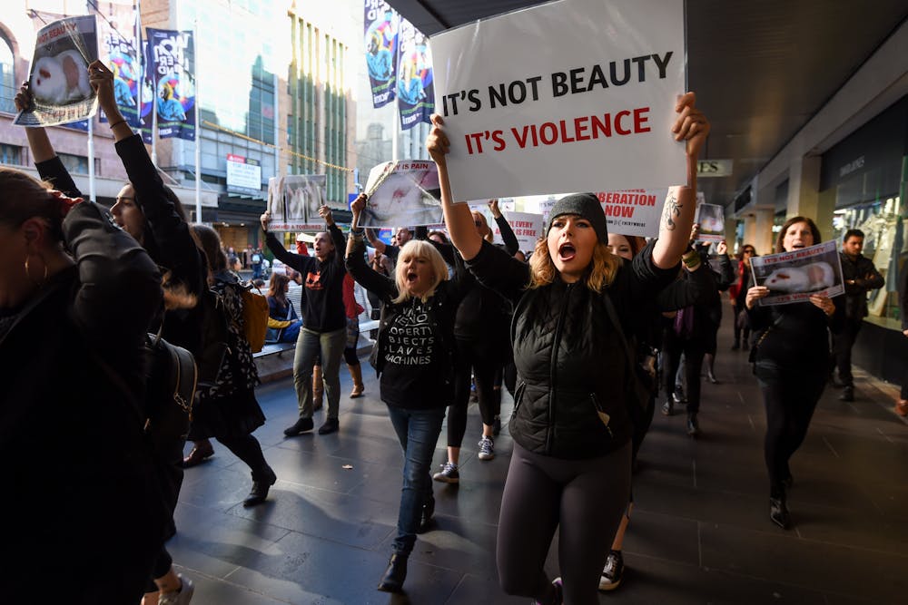 Photos: sexy peta protests around the globe Australia's animal testing laws are a good start, but don't go far enough