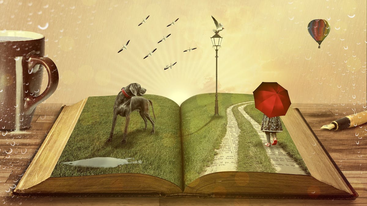 Comment Parler Des Livres Que L On N A Pas Lus Les