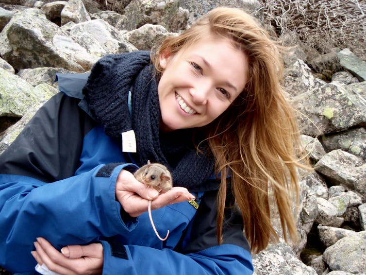 'Give us a sniff, love': giving marsupials scents from suitors helps breeding programs