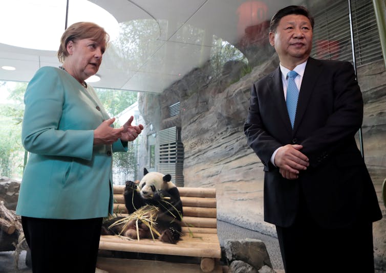 Pandanomics is a grey area, but to us the value of giant pandas is black and white